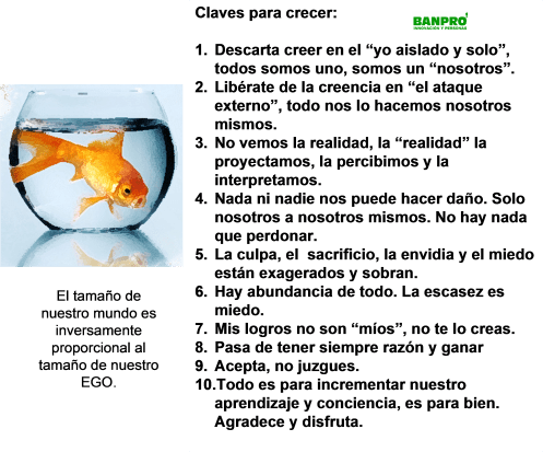 Claves para crecer con menos EGO v4