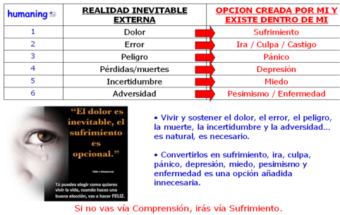 lo inevitable y las opciones