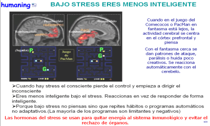 EEG PACMAN COMECOCOS