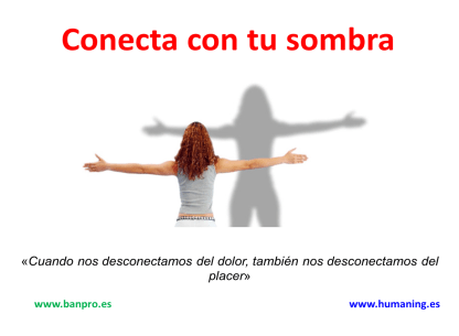 conecta sombra