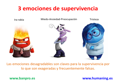 3 emociones