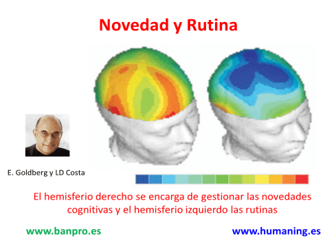 novedad y rutina