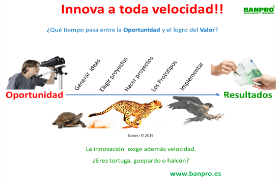 velocidad de innovación.png