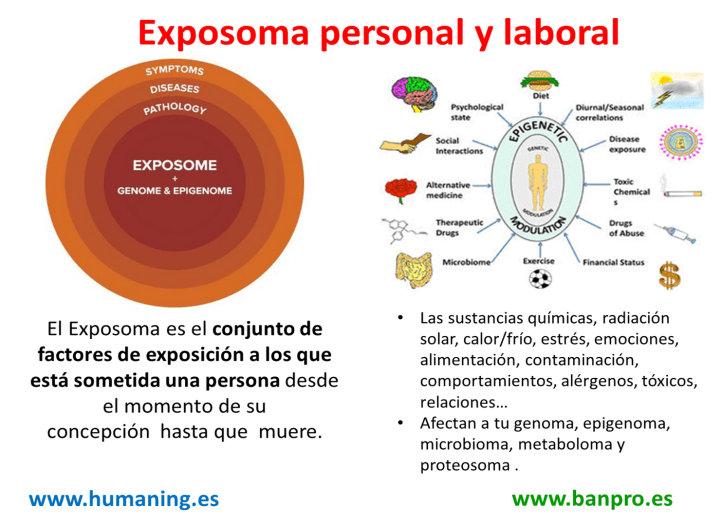exposoma